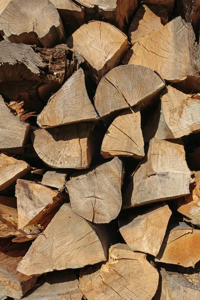 Wood logs background — Stock Photo, Image