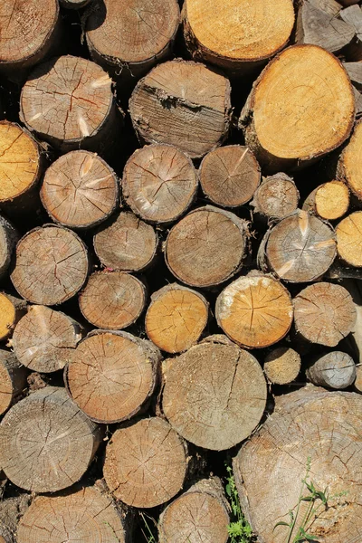 Högen av trä loggar — Stockfoto