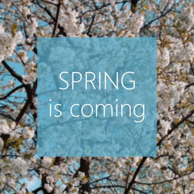 Bahar geliyor, arka plan ağaç bahar çiçek açan bir kavramdır