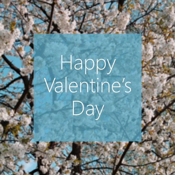 Boldog Valentin-napot koncepció, tavasszal virágzó fa a háttérben — Stock Fotó