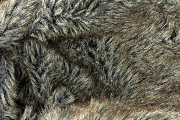 Closeup of fur, background or texture — Stock Photo, Image