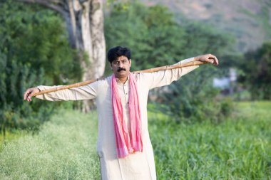 Kızılderili çiftçi elinde odun tutarak tarlada dikiliyor geleneksel kurta elbisesi giymiş, bıyıklı ve siyah saçlı bir adam. Kırsal Hindistan Konsepti.