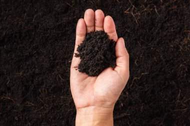 Çiftçi kadının ellerinin gübre dolu kara toprak arka plan ve fotokopi alanı, tarım, bahçıvanlık, Dünyayı Kurtarma, Dünya Günü ve Eller ekoloji ortamı kavramını elinde tuttuğu en iyi manzara