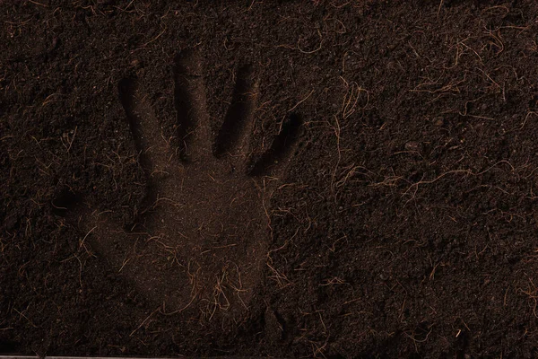 Hand Print Black Land Plant Background Κάτοψη Του Αποτυπώματος Του — Φωτογραφία Αρχείου