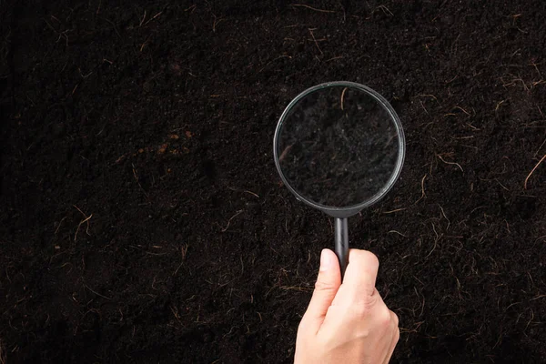 Ansicht Von Oben Die Hand Einer Forscherin Die Eine Lupe — Stockfoto