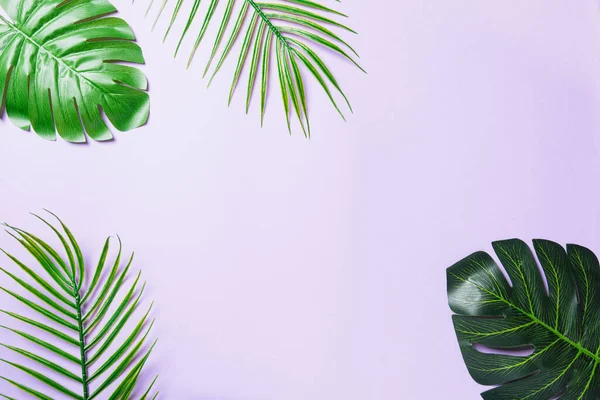 Grüne Flache Tropische Monstera Blätter Isoliert Auf Violettem Hintergrund Palmendschungel — Stockfoto