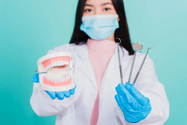 Asiatisk Vacker Kvinna Tandläkare Hålla Professionella Verktyg Och Modell Tänder — Stockfoto