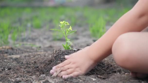 Malé Dítě Ručně Sázet Sazenice Rostoucí Strom Půdě Zahradě Dítě — Stock video