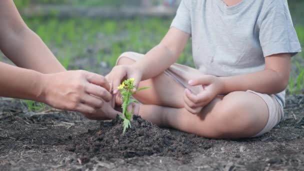 Små Barn Hand Och Förälder Plantera Växande Träd Jord Trädgård — Stockvideo