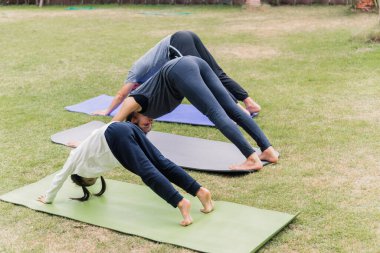 Asyalı genç anne, baba çocuk kızıyla yoga egzersizleri yapıyor meditasyon yapıyor birlikte doğada poz veriyorlar bir bahçe bahçesi, aile çocuğu sporu ve sağlıklı bir yaşam tarzı için egzersiz yapıyorlar.