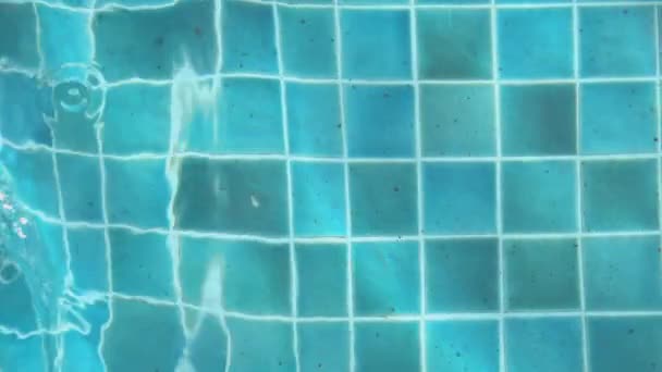 Latar Belakang Jajak Pendapat Berenang Permukaan Air Biru Dengan Riak — Stok Video