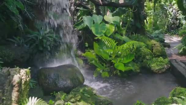 Belle Petite Cascade Avec Eau Trouble Dans Jardin Goutte Eau — Video