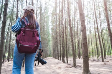 DSLR kameralı fotoğrafçı kullanan genç kadın yaşam tarzı. Orman doğa parkında fotoğraf çekiyor, sırt çantası kullanıyor ve uzay kopyaları çıkarıyor.
