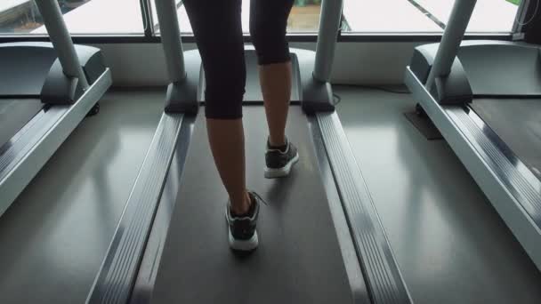 Nahaufnahme Sportschuhe Frau Muskulöse Beine Füße Beim Laufen Auf Dem — Stockvideo