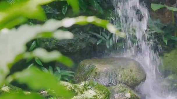 Belle Petite Cascade Avec Eau Trouble Dans Jardin Goutte Eau — Video