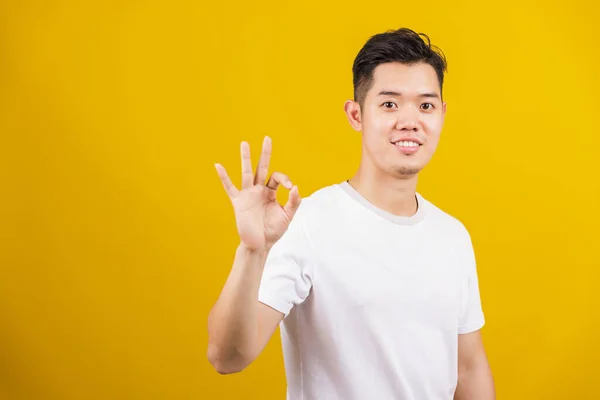 Asiático Guapo Joven Sonriendo Positiva Celebración Signo Gesto Con Mano —  Fotos de Stock