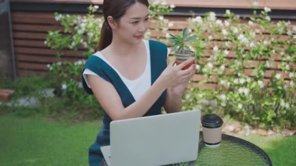 아시아인아름다운 라이프 스타일의 여성은 노트북 미디어를 온라인으로 나무와 선인장을 판매하는 — 비디오