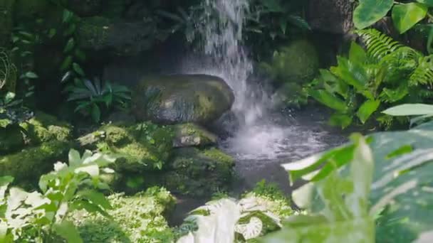 庭の水の中にぼやけた水を持つ美しい小さな滝岩や苔の石に落ちる 家での水の秋の夏の景色 公園での風景自然 — ストック動画