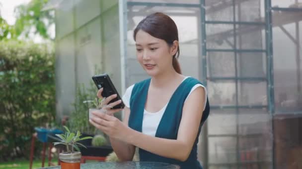 Asian Beautiful Young Woman Taking Photos Small Tree Pot Smartphone — Stock Video