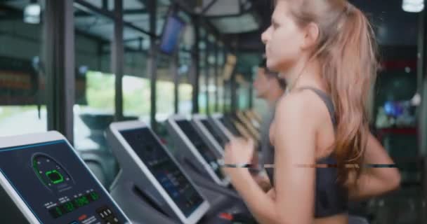 フィットネスジムクラブでのカーディオワークアウト中にマシントレッドミルで実行されている運動の若者のグループ スポーツ健康ライフスタイルの概念 — ストック動画