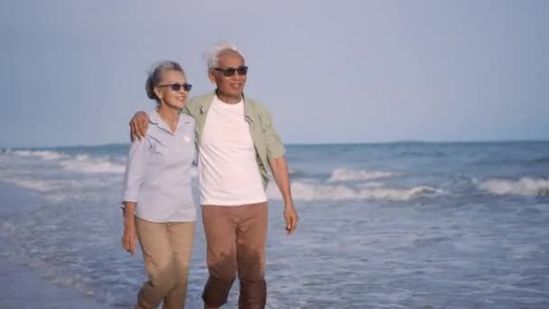快乐的亚洲老年男女情侣手牵手在阳光明媚的海滩上散步 浪漫的老年人享受暑假旅行 为退休夫妇的生活保险做打算 — 图库视频影像