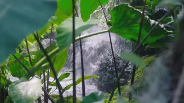 Bella Cascata Piccola Con Acqua Sfocata Nel Giardino Goccia Acqua — Video Stock