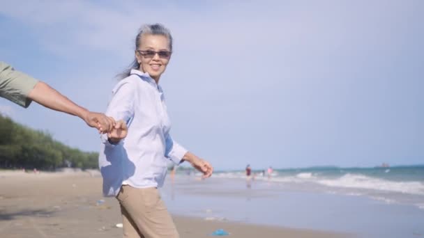 Glad Asiatisk Senior Man Och Kvinna Par Håller Händerna Går — Stockvideo