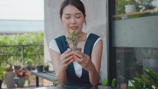 アジアの美しい若い女性が手にポット小さな木の花を保持し 笑顔は自宅の外の庭で木の手袋を見て介護笑って 観葉植物の愛 小さなビジネスコンセプト — ストック動画