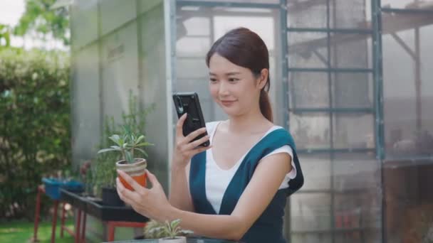 亚洲美丽的年轻女子用智能手机在盆栽上拍小树的照片 在温室附近的花园里出售 女园丁用数码手机拍摄花卉 室内种植 — 图库视频影像