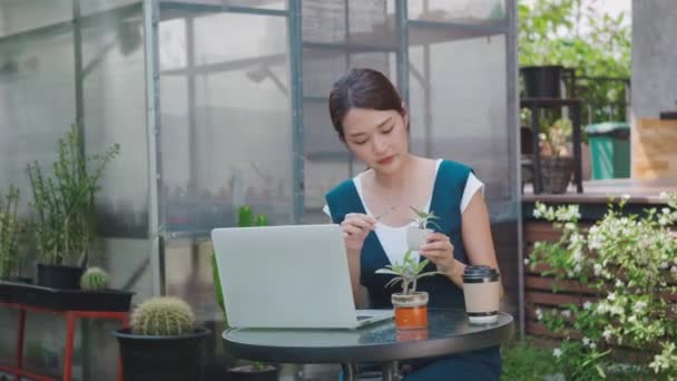 アジアの美しいライフスタイルの若い女性は ノートパソコンのコンピュータによる小さな木やサボテンをオンラインで販売話ソーシャルメディアライブストリーミング 温室近くのビジネスオンライン電子商取引距離 中小企業 — ストック動画