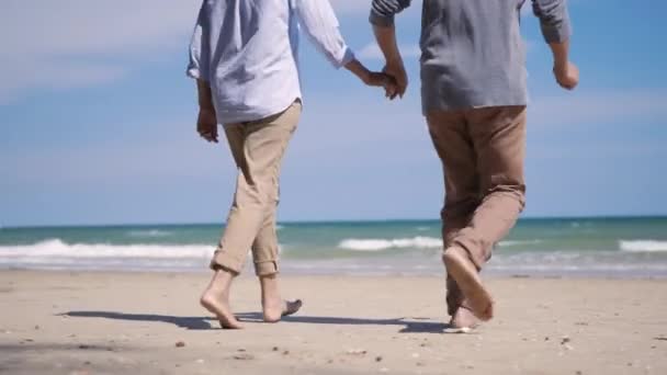 Glückliche Asiatische Senioren Mann Und Frau Händchen Haltend Den Strand — Stockvideo