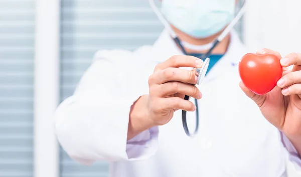 Closeup Doctor Man Wearing White Coat Standing Holds His Stethoscope — Stock Photo, Image