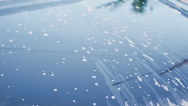 Gocce Acqua Sul Cofano Dell Auto Pulizia Della Schiuma Shampoo — Video Stock