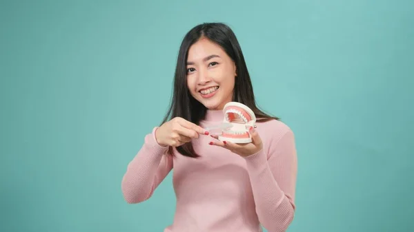 Молода Жінка Азії Посміхається Показуючи Модель Правильно Чистити Зуби Зубною — стокове фото