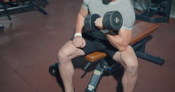 ベンチに座っている間に運動中にダンベルを持ち上げる筋肉男 フィットネスでダンベル重みで動作するボディービルダー ボディービルスポーツトレーニングコンセプト — ストック動画