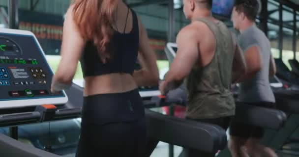 Spor Sağlık Yaşam Tarzı Konsepti Olan Fitness Jimnastik Kulübünde Egzersiz — Stok video