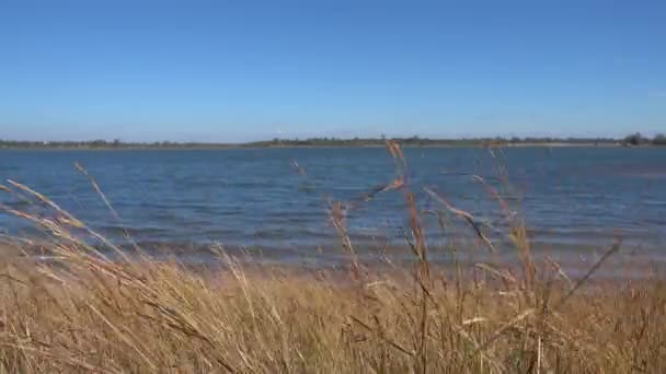 아름다운 저수지 옥외푸른 하늘의 — 비디오