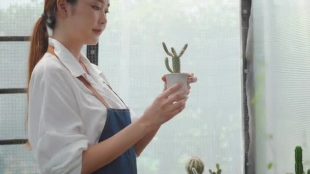 Asiático Bela Jovem Segurando Pote Cacto Flor Mãos Sorrir Rindo — Vídeo de Stock