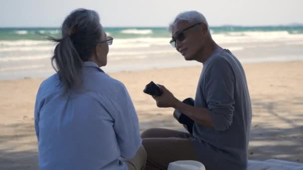 Šťastný Starší Pár Relaxační Venku Zpěv Hraní Akustickou Kytaru Pláži — Stock video