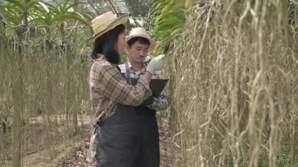 Νέοι Αγρότες Ζευγάρι Ελέγχοντας Ορχιδέα Αγρόκτημα Κηπουρική Τους Γυναίκα Και — Αρχείο Βίντεο
