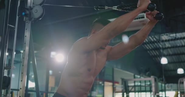 Muskularny Mężczyzna Ćwiczy Ćwiczenia Dla Triceps Push Podnoszenie Ciężarów Pomocą — Wideo stockowe