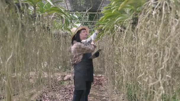 Les Jeunes Agriculteurs Couple Vérifient Leur Ferme Jardinage Orchidée Femme — Video