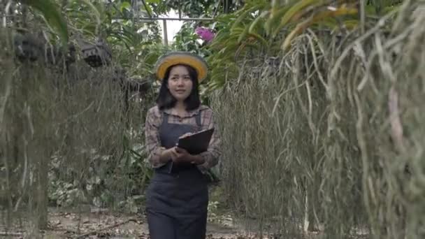 Νεαροί Αγρότες Θηλυκό Περπάτημα Στον Έλεγχο Ορχιδέας Κηπουρική Αγρόκτημα Γυναίκα — Αρχείο Βίντεο