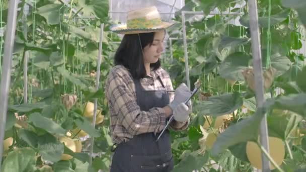 Retrato Joven Mujer Sonriente Agricultora Uniforme Granja Que Tiene Los — Vídeo de stock