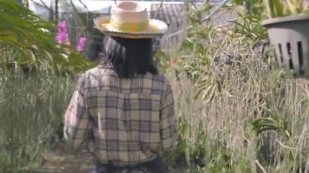 年轻的面带微笑的农民在花园里种植修剪兰花 收割兰花 — 图库视频影像