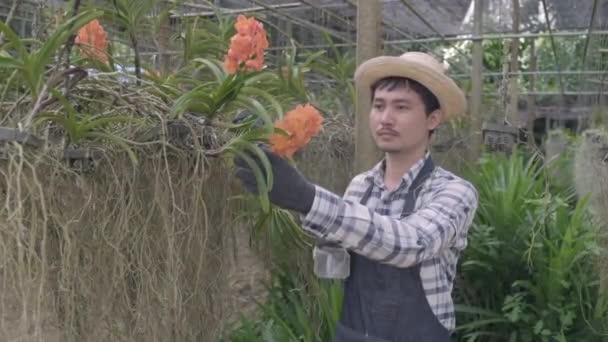 庭植え 蘭の園芸農場 花屋の園芸コンセプトの霧の水噴霧ボトルを持つ若い笑顔の男の農家の蘭の花 — ストック動画