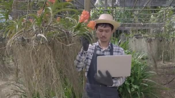 Giovane Contadino Sorridente Controllando Qualità Dei Fiori Orchidee Registrare Computer — Video Stock