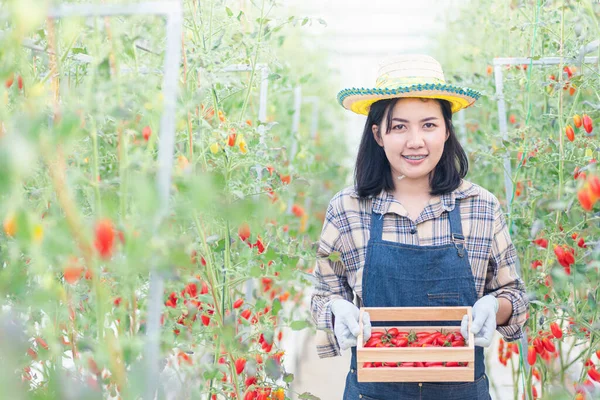 Porträt Der Bäuerin Junge Frau Uniform Lächelnd Mit Frischen Roten — Stockfoto