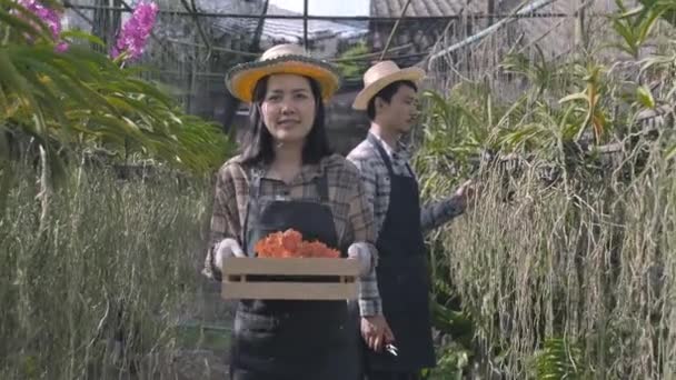 Gülümseyen Genç Çiftçi Orkideleri Buduyor Bahçe Ekme Makası Ile Çiçek — Stok video