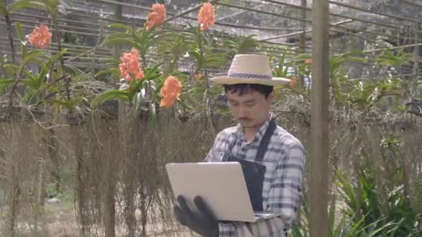 年轻笑容满面的农民检查兰花的质量 并将笔记本电脑记录在园圃种植 兰花园圃 花卉园艺学概念中 — 图库视频影像